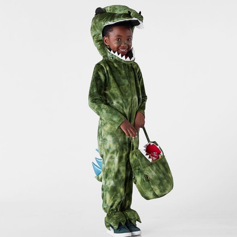 Pottery barn kids dinosaur costume